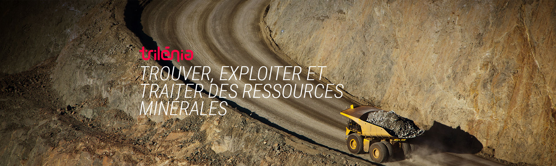 Banner Trilenia